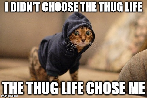 Hoody Cat | I DIDN'T CHOOSE THE THUG LIFE THE THUG LIFE CHOSE ME | image tagged in memes,hoody cat | made w/ Imgflip meme maker