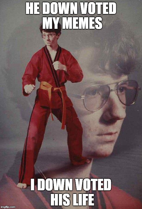 Karate Kyle | HE DOWN VOTED MY MEMES I DOWN VOTED HIS LIFE | image tagged in memes,karate kyle | made w/ Imgflip meme maker