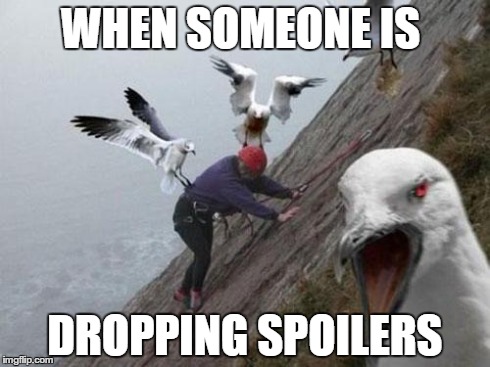 Angry Birds | WHEN SOMEONE IS DROPPING SPOILERS | image tagged in angry birds | made w/ Imgflip meme maker