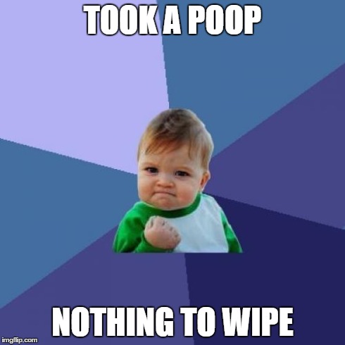 Success Kid | TOOK A POOP NOTHING TO WIPE | image tagged in memes,success kid | made w/ Imgflip meme maker