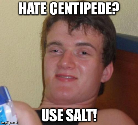 10 Guy Meme | HATE CENTIPEDE? USE SALT! | image tagged in memes,10 guy | made w/ Imgflip meme maker