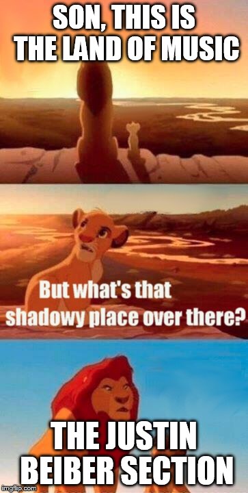 Simba Shadowy Place | SON, THIS IS THE LAND OF MUSIC THE JUSTIN BEIBER SECTION | image tagged in memes,simba shadowy place | made w/ Imgflip meme maker