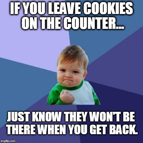 Success Kid Meme | IF YOU LEAVE COOKIES ON THE COUNTER... JUST KNOW THEY WON'T BE THERE WHEN YOU GET BACK. | image tagged in memes,success kid | made w/ Imgflip meme maker