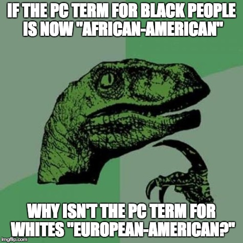 Philosoraptor | IF THE PC TERM FOR BLACK PEOPLE IS NOW "AFRICAN-AMERICAN" WHY ISN'T THE PC TERM FOR WHITES "EUROPEAN-AMERICAN?" | image tagged in memes,philosoraptor | made w/ Imgflip meme maker