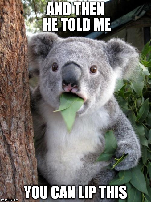 Surprised Koala Meme | AND THEN HE TOLD ME YOU CAN LIP THIS | image tagged in memes,surprised koala | made w/ Imgflip meme maker