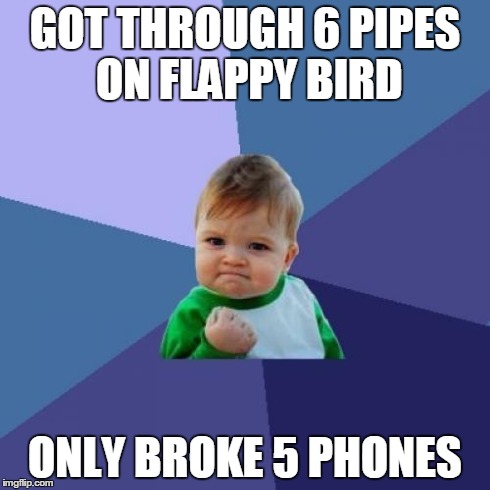 Success Kid | GOT THROUGH 6 PIPES ON FLAPPY BIRD ONLY BROKE 5 PHONES | image tagged in memes,success kid | made w/ Imgflip meme maker