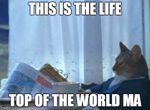 I Should Buy A Boat Cat | THIS IS THE LIFE TOP OF THE WORLD MA | image tagged in memes,i should buy a boat cat | made w/ Imgflip meme maker