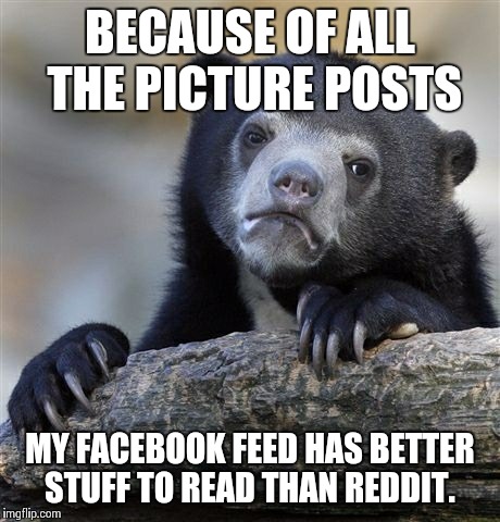 Confession Bear Meme | BECAUSE OF ALL THE PICTURE POSTS MY FACEBOOK FEED HAS BETTER STUFF TO READ THAN REDDIT. | image tagged in memes,confession bear | made w/ Imgflip meme maker