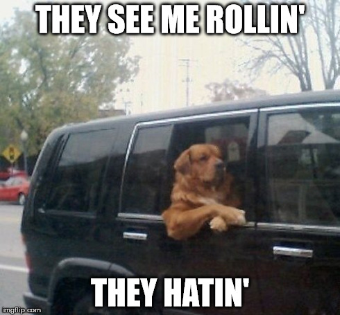 They see me rolling, they hating! | THEY SEE ME ROLLIN' THEY HATIN' | image tagged in dogs,rap,funny | made w/ Imgflip meme maker