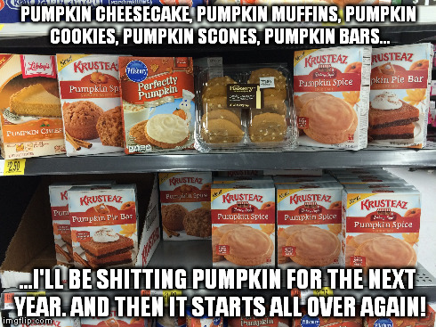 PUMPKIN CHEESECAKE, PUMPKIN MUFFINS, PUMPKIN COOKIES, PUMPKIN SCONES, PUMPKIN BARS... ...I'LL BE SHITTING PUMPKIN FOR THE NEXT YEAR. AND THE | image tagged in pumpkin | made w/ Imgflip meme maker