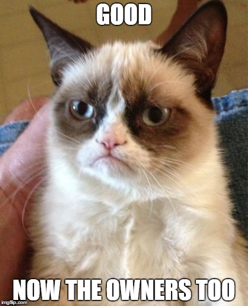 Grumpy Cat Meme | GOOD NOW THE OWNERS TOO | image tagged in memes,grumpy cat | made w/ Imgflip meme maker