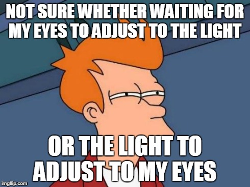Futurama Fry | NOT SURE WHETHER WAITING FOR MY EYES TO ADJUST TO THE LIGHT OR THE LIGHT TO ADJUST TO MY EYES | image tagged in memes,futurama fry,eyes,not sure if,wow,dafuq | made w/ Imgflip meme maker
