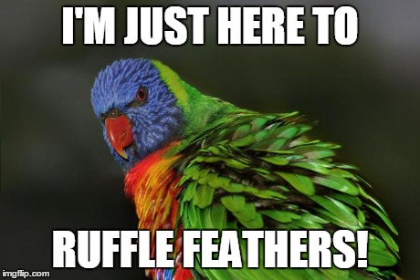 I'M JUST HERE TO RUFFLE FEATHERS! | image tagged in feathers | made w/ Imgflip meme maker