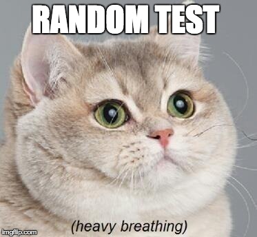 Heavy Breathing Cat Meme | RANDOM TEST | image tagged in memes,heavy breathing cat | made w/ Imgflip meme maker