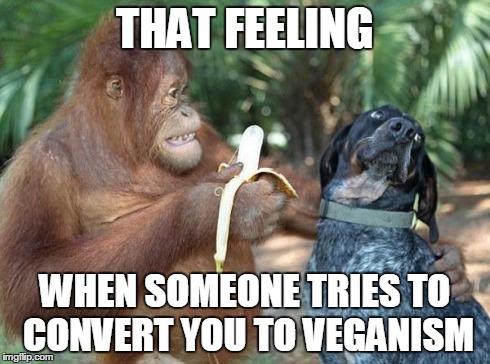 get that bullmess out my face bro | THAT FEELING WHEN SOMEONE TRIES TO CONVERT YOU TO VEGANISM | image tagged in banana,veganism,dog,organutan,friends,sfw | made w/ Imgflip meme maker