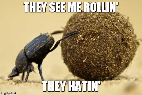 dung beetle | THEY SEE ME ROLLIN' THEY HATIN' | image tagged in funny | made w/ Imgflip meme maker