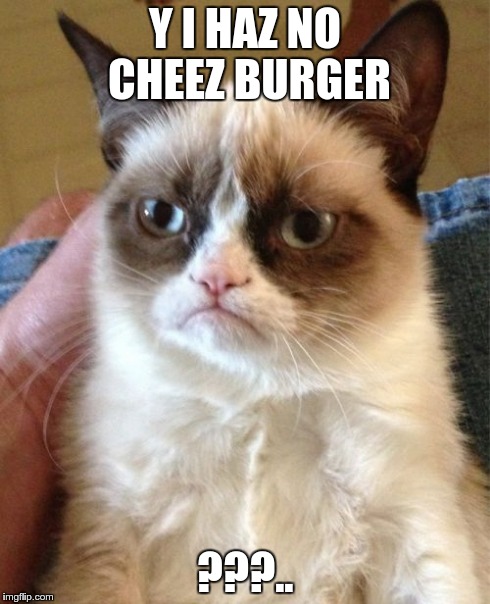 Grumpy Cat | Y I HAZ NO CHEEZ BURGER ???.. | image tagged in memes,grumpy cat | made w/ Imgflip meme maker