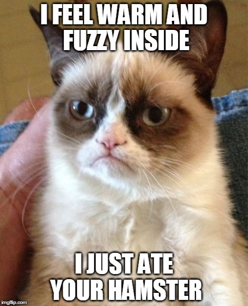 Grumpy Cat | I FEEL WARM AND FUZZY INSIDE I JUST ATE YOUR HAMSTER | image tagged in memes,grumpy cat | made w/ Imgflip meme maker