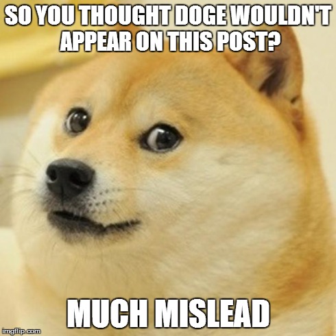 Doge Meme | SO YOU THOUGHT DOGE WOULDN'T APPEAR ON THIS POST? MUCH MISLEAD | image tagged in memes,doge | made w/ Imgflip meme maker