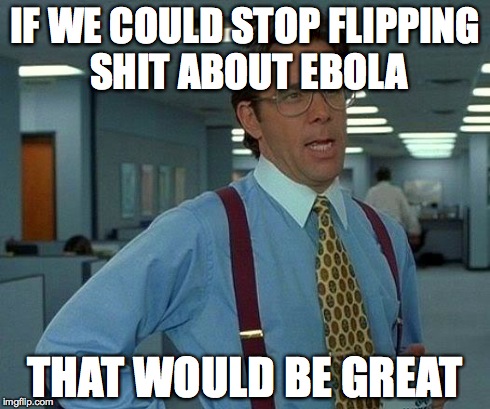 That Would Be Great Meme | IF WE COULD STOP FLIPPING SHIT ABOUT EBOLA THAT WOULD BE GREAT | image tagged in memes,that would be great | made w/ Imgflip meme maker