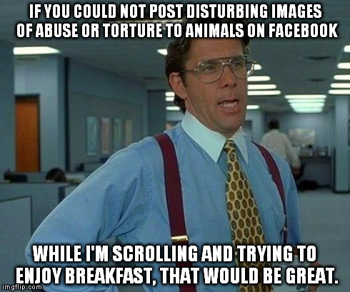 That Would Be Great | IF YOU COULD NOT POST DISTURBING IMAGES OF ABUSE OR TORTURE TO ANIMALS ON FACEBOOK WHILE I'M SCROLLING AND TRYING TO ENJOY BREAKFAST, THAT W | image tagged in memes,that would be great | made w/ Imgflip meme maker