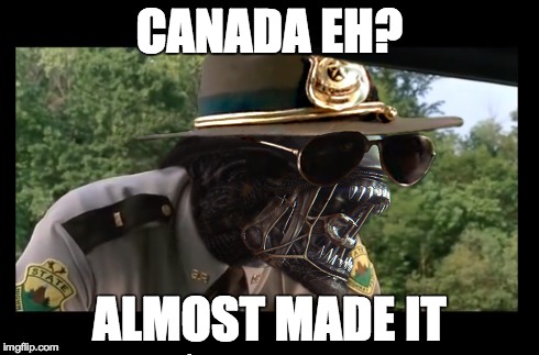 CANADA EH? ALMOST MADE IT | made w/ Imgflip meme maker