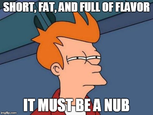 Futurama Fry Meme | SHORT, FAT, AND FULL OF FLAVOR IT MUST BE A NUB | image tagged in memes,futurama fry | made w/ Imgflip meme maker
