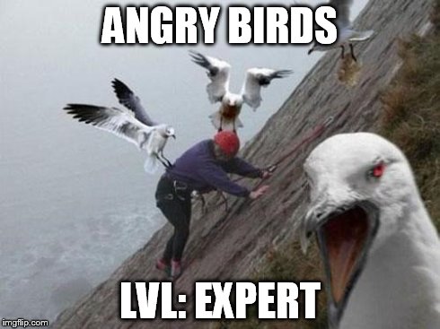 Angry Birds | ANGRY BIRDS LVL: EXPERT | image tagged in angry birds | made w/ Imgflip meme maker