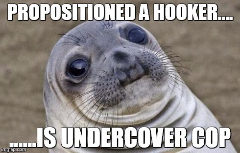 Awkward Moment Sealion Meme | PROPOSITIONED A HOOKER.... ......IS UNDERCOVER COP | image tagged in memes,awkward moment sealion | made w/ Imgflip meme maker