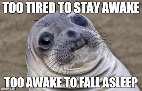 Awkward Moment Sealion | TOO TIRED TO STAY AWAKE TOO AWAKE TO FALL ASLEEP | image tagged in memes,awkward moment sealion | made w/ Imgflip meme maker