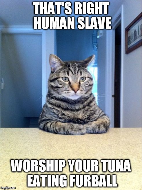 Take A Seat Cat Meme | THAT'S RIGHT HUMAN SLAVE WORSHIP YOUR TUNA EATING FURBALL | image tagged in memes,take a seat cat | made w/ Imgflip meme maker