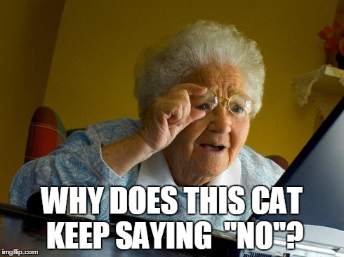 Grandma Finds The Internet Meme | WHY DOES THIS CAT KEEP SAYING  "NO"? | image tagged in memes,grandma finds the internet | made w/ Imgflip meme maker