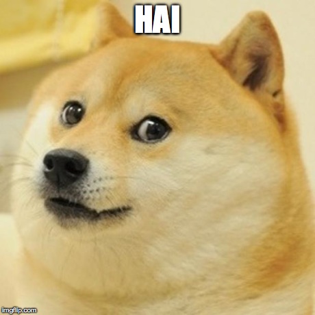 Doge Meme | HAI | image tagged in memes,doge | made w/ Imgflip meme maker