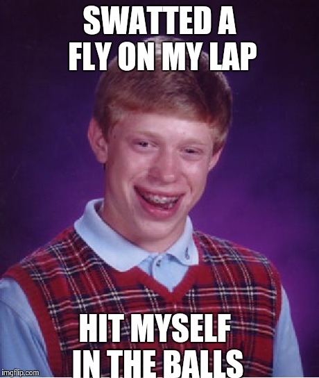 Bad Luck Brian | SWATTED A FLY ON MY LAP HIT MYSELF IN THE BALLS | image tagged in memes,bad luck brian,AdviceAnimals | made w/ Imgflip meme maker