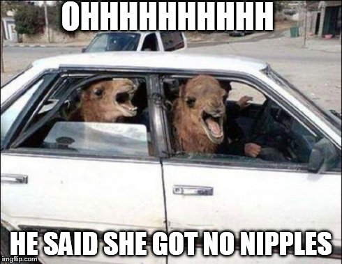 Quit Hatin Meme | OHHHHHHHHHH HE SAID SHE GOT NO NIPPLES | image tagged in memes,quit hatin | made w/ Imgflip meme maker