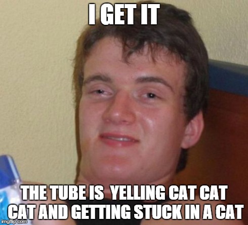 10 Guy Meme | I GET IT THE TUBE IS  YELLING CAT CAT CAT AND GETTING STUCK IN A CAT | image tagged in memes,10 guy | made w/ Imgflip meme maker