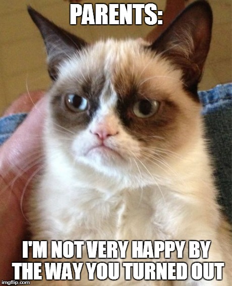 Grumpy Cat Meme | PARENTS: I'M NOT VERY HAPPY BY THE WAY YOU TURNED OUT | image tagged in memes,grumpy cat | made w/ Imgflip meme maker