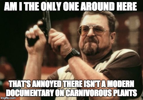 Am I The Only One Around Here | AM I THE ONLY ONE AROUND HERE THAT'S ANNOYED THERE ISN'T A MODERN DOCUMENTARY ON CARNIVOROUS PLANTS | image tagged in memes,am i the only one around here | made w/ Imgflip meme maker