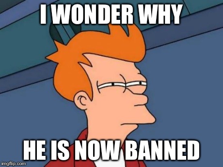 Futurama Fry Meme | I WONDER WHY HE IS NOW BANNED | image tagged in memes,futurama fry | made w/ Imgflip meme maker