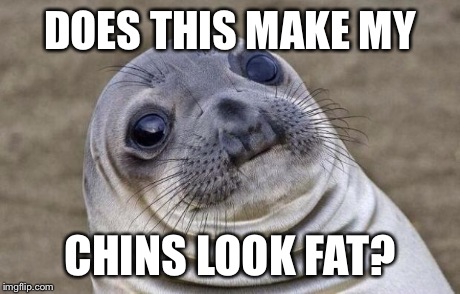 Awkward Moment Sealion Meme | DOES THIS MAKE MY CHINS LOOK FAT? | image tagged in memes,awkward moment sealion | made w/ Imgflip meme maker