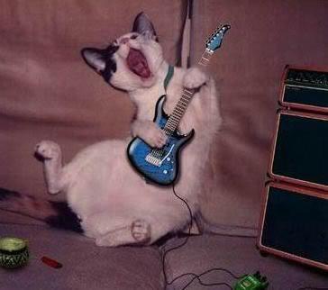 High Quality Guitar Cat Blank Meme Template
