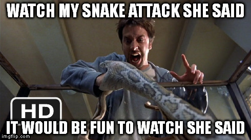 WATCH MY SNAKE ATTACK SHE SAID IT WOULD BE FUN TO WATCH SHE SAID | image tagged in snakes | made w/ Imgflip meme maker
