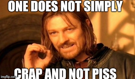 One Does Not Simply | ONE DOES NOT SIMPLY CRAP AND NOT PISS | image tagged in memes,one does not simply | made w/ Imgflip meme maker