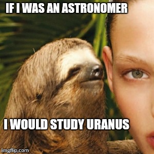Whisper Sloth Meme | IF I WAS AN ASTRONOMER I WOULD STUDY URANUS | image tagged in memes,whisper sloth | made w/ Imgflip meme maker
