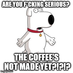 Family Guy Brian | ARE YOU F*CKING SERIOUS? THE COFFEE'S NOT MADE YET?!?!? | image tagged in memes,family guy brian | made w/ Imgflip meme maker