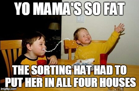 Yo Mamas So Fat | YO MAMA'S SO FAT THE SORTING HAT HAD TO PUT HER IN ALL FOUR HOUSES | image tagged in memes,yo mamas so fat | made w/ Imgflip meme maker