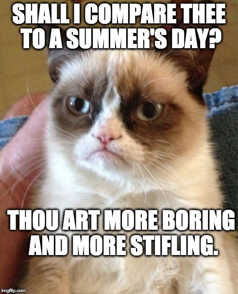 Grumpy Cat Meme | SHALL I COMPARE THEE TO A SUMMER'S DAY? THOU ART MORE BORING AND MORE STIFLING. | image tagged in memes,grumpy cat | made w/ Imgflip meme maker