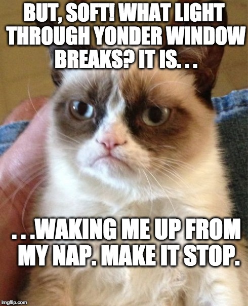 Grumpy Cat Meme | BUT, SOFT! WHAT LIGHT THROUGH YONDER WINDOW BREAKS? IT IS. . . . . .WAKING ME UP FROM MY NAP. MAKE IT STOP. | image tagged in memes,grumpy cat | made w/ Imgflip meme maker