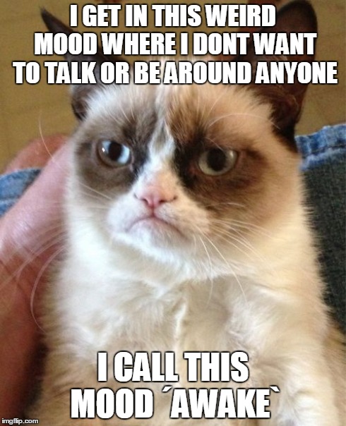 Grumpy Cat | I GET IN THIS WEIRD MOOD WHERE I DONT WANT TO TALK OR BE AROUND ANYONE I CALL THIS MOOD Â´AWAKE` | image tagged in memes,grumpy cat | made w/ Imgflip meme maker