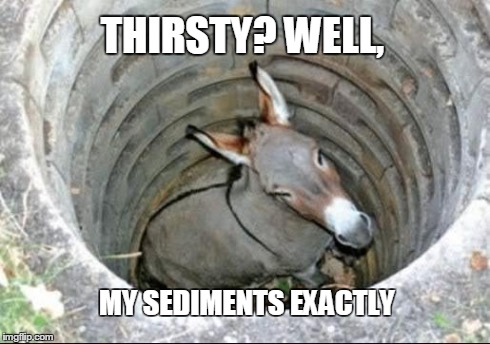THIRSTY? WELL, MY SEDIMENTS EXACTLY | image tagged in donkey in a well | made w/ Imgflip meme maker